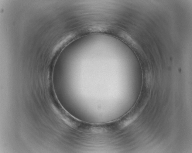 X0000065970490200603172054