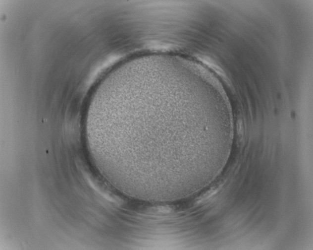 X0000065970492200603172054