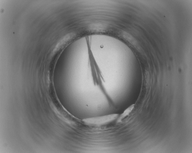 X0000065970494200603172054