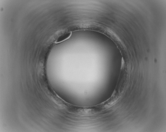 X0000065970497200603172054