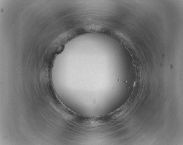 X0000065970498200603172053