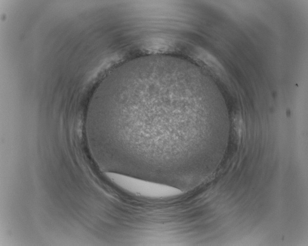 X0000065970499200603172053