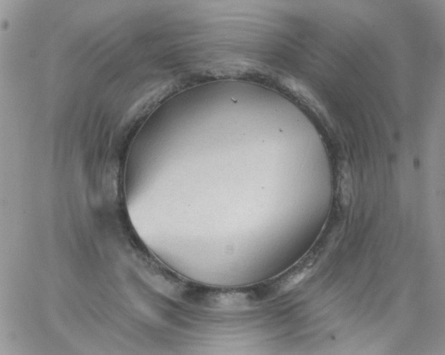 X0000065970501200603172053