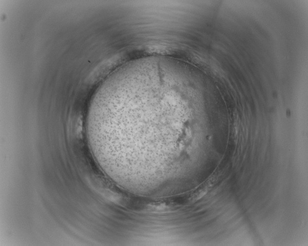 X0000065970502200603172053