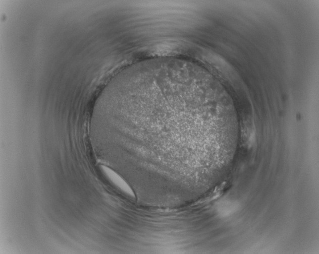 X0000065970503200603172053