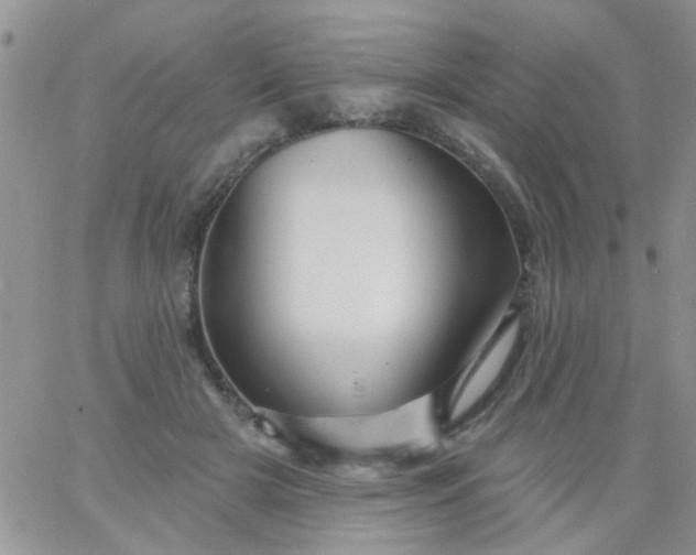 X0000065970505200603172053