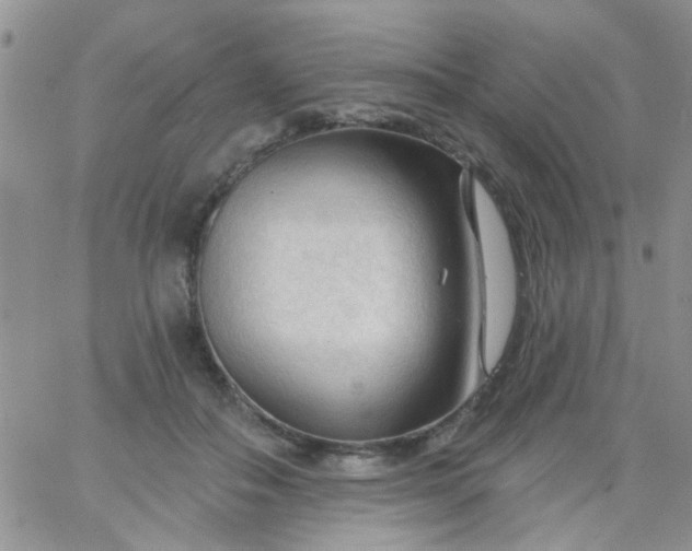 X0000065970506200603172053