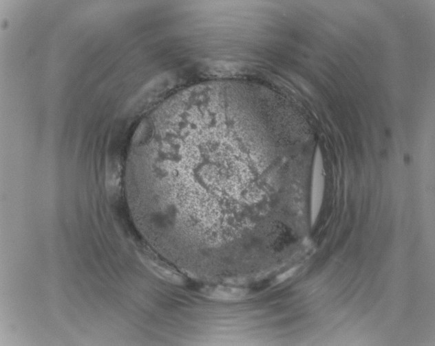 X0000065970507200603172053