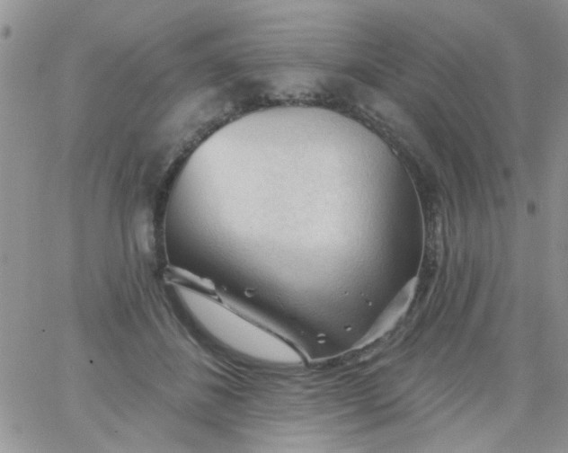 X0000065970508200603172053