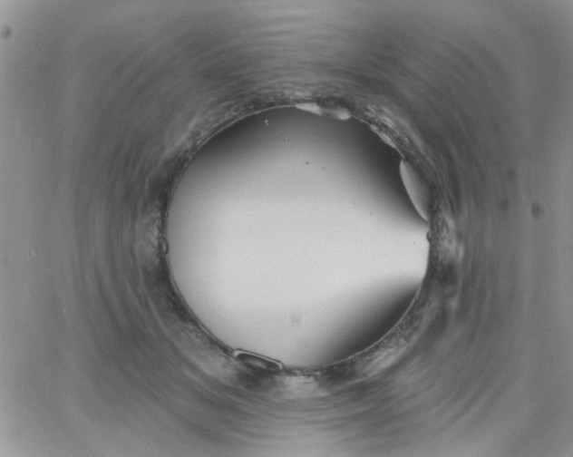 X0000065970509200603172053