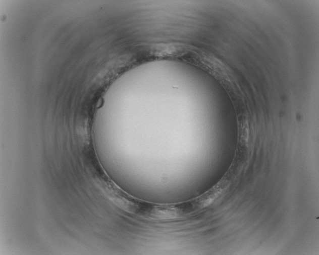 X0000065970510200603172053