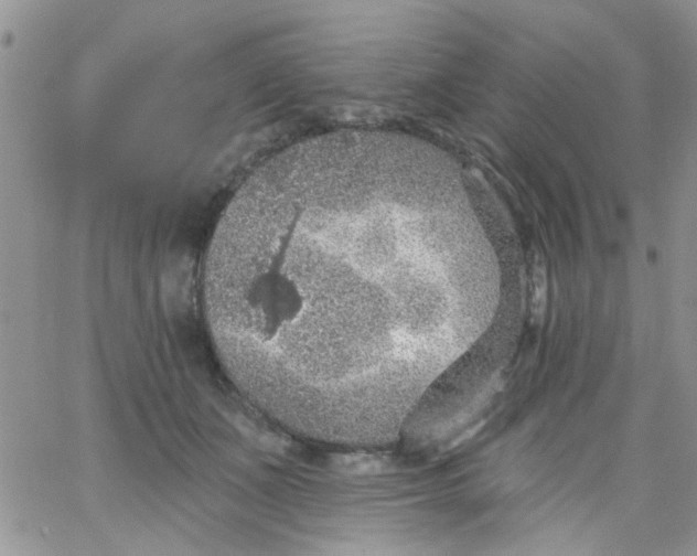 X0000065970511200603172053