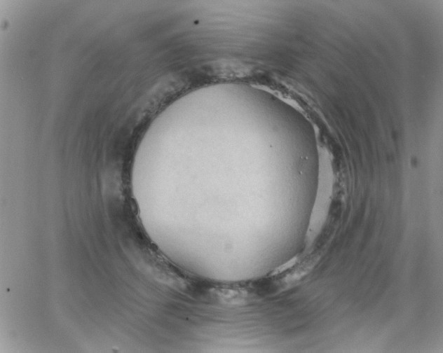 X0000065970512200603172053