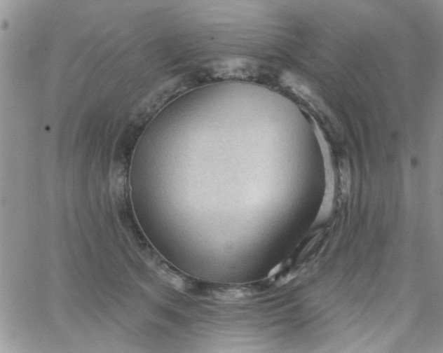 X0000065970513200603172053