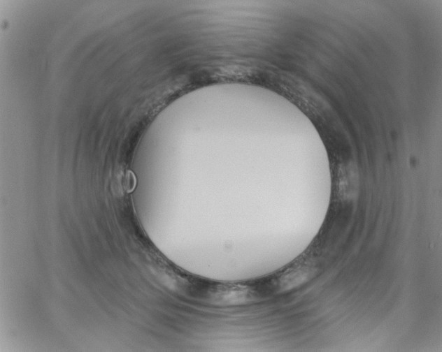 X0000065970514200603172053