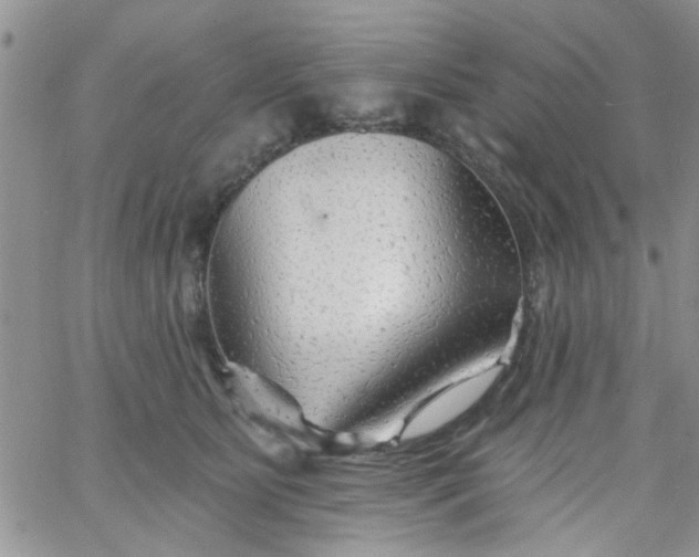 X0000065970515200603172053