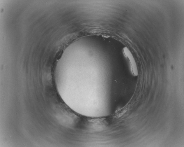 X0000065970516200603172053