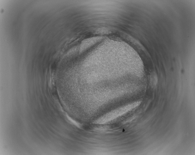 X0000065970517200603172053