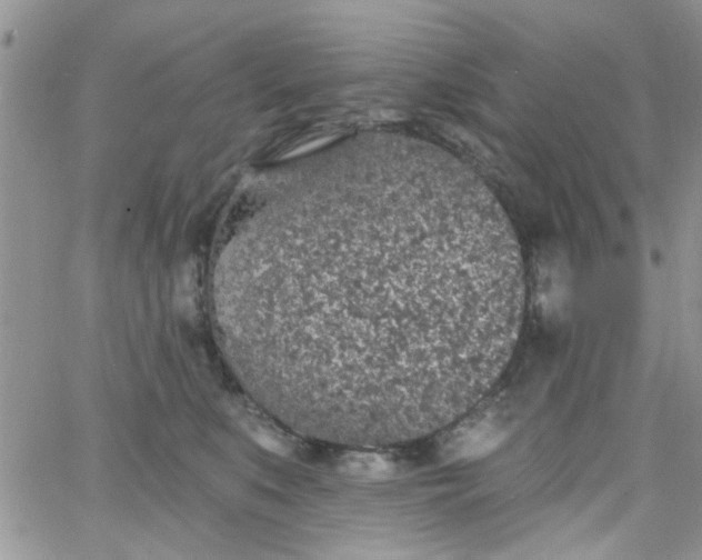 X0000065970519200603172053