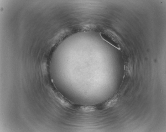 X0000065970520200603172053