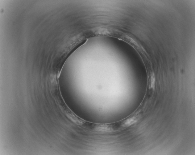 X0000065970521200603172053