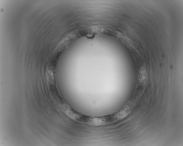 X0000065970522200603172053