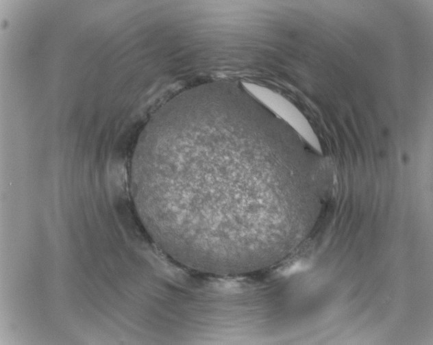 X0000065970523200603172053