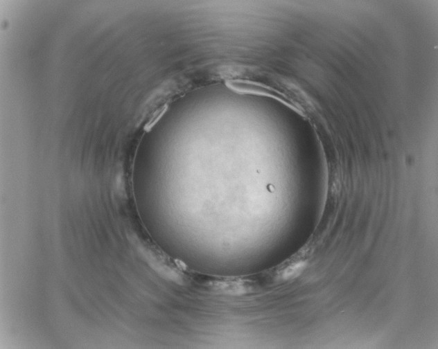 X0000065970524200603172053