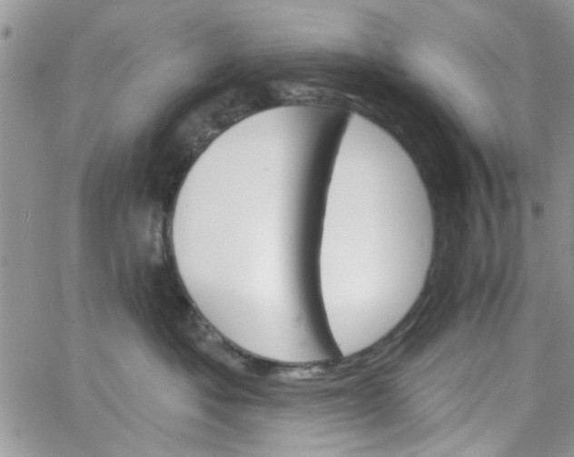 X0000065970525200603172053