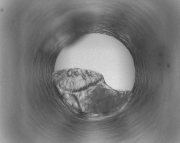 X0000065970527200603172053