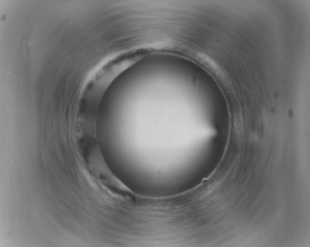 X0000065970532200603172052