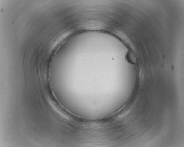 X0000065970533200603172052