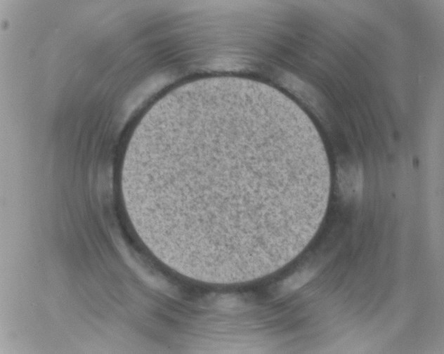 X0000065970534200603172052