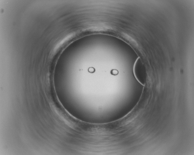 X0000065970535200603172052