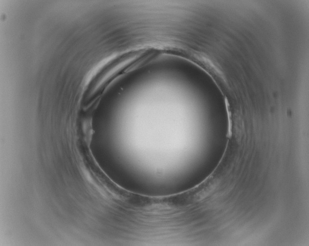 X0000065970536200603172052