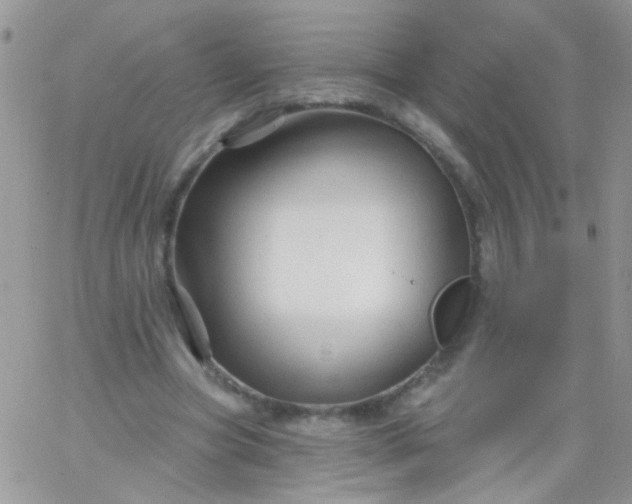 X0000065970537200603172052