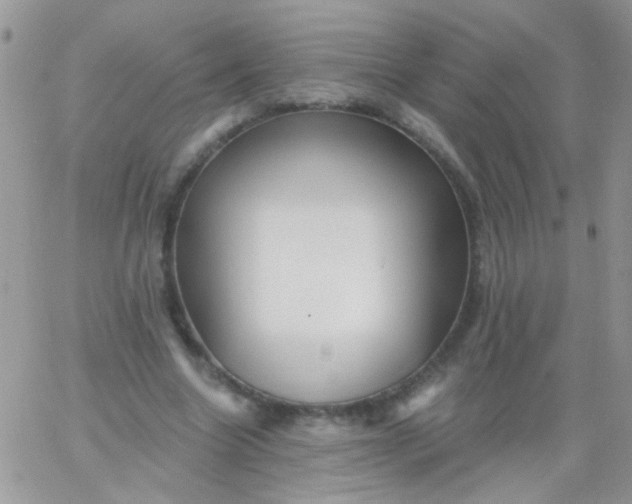 X0000065970538200603172052