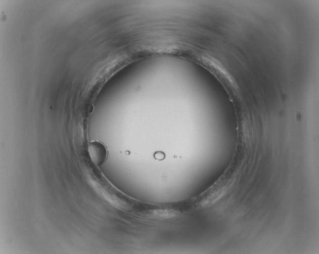 X0000065970541200603172052