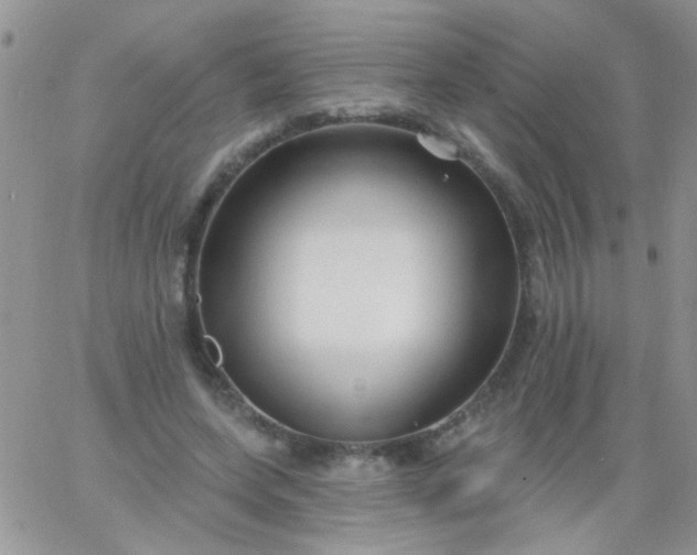 X0000065970543200603172052