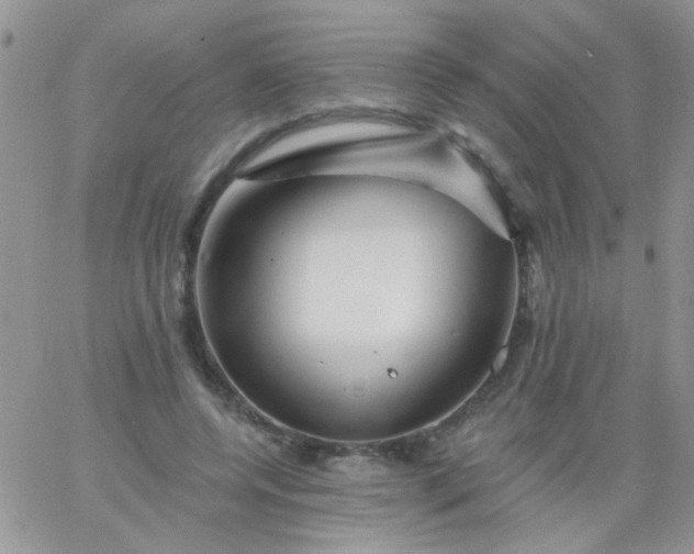 X0000065970544200603172052