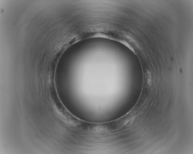 X0000065970546200603172053