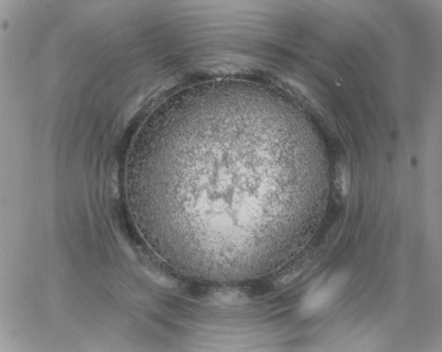 X0000065970547200603172053