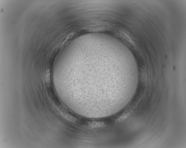 X0000065970549200603172053