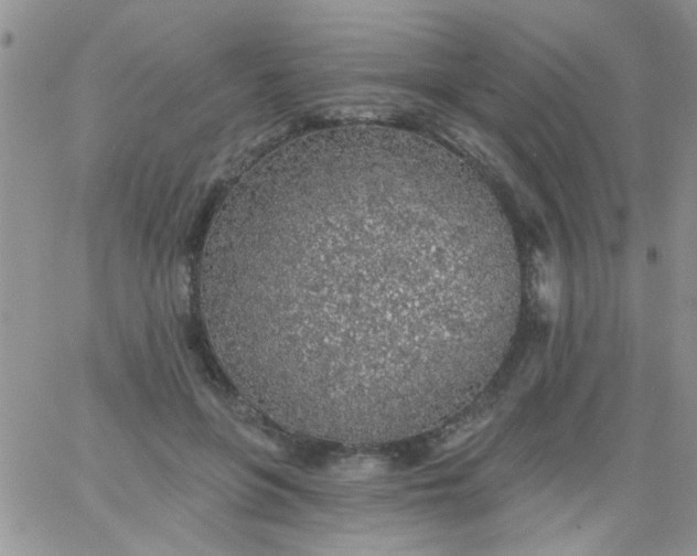 X0000065970551200603172053