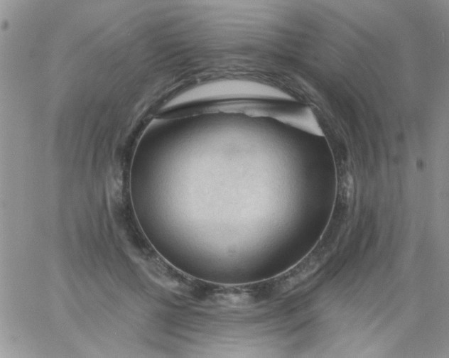 X0000065970552200603172053