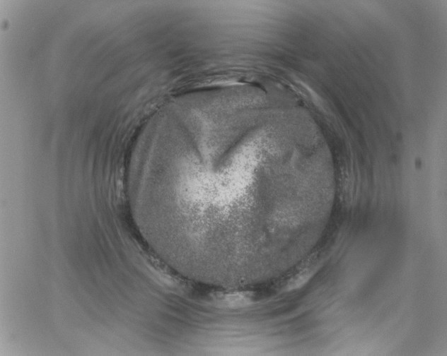 X0000065970553200603172053