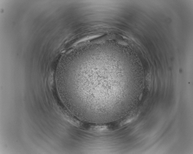 X0000065970554200603172053