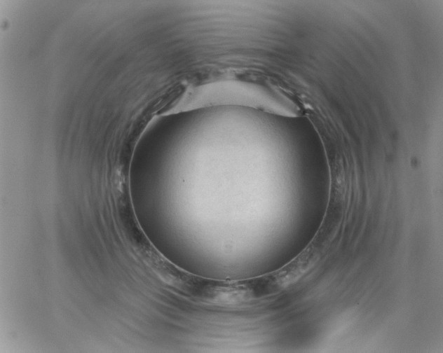 X0000065970555200603172053