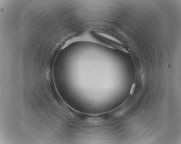 X0000065970556200603172053