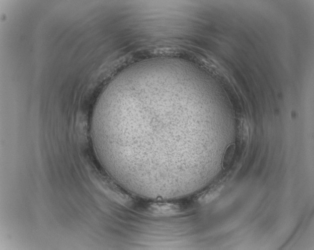 X0000065970557200603172053